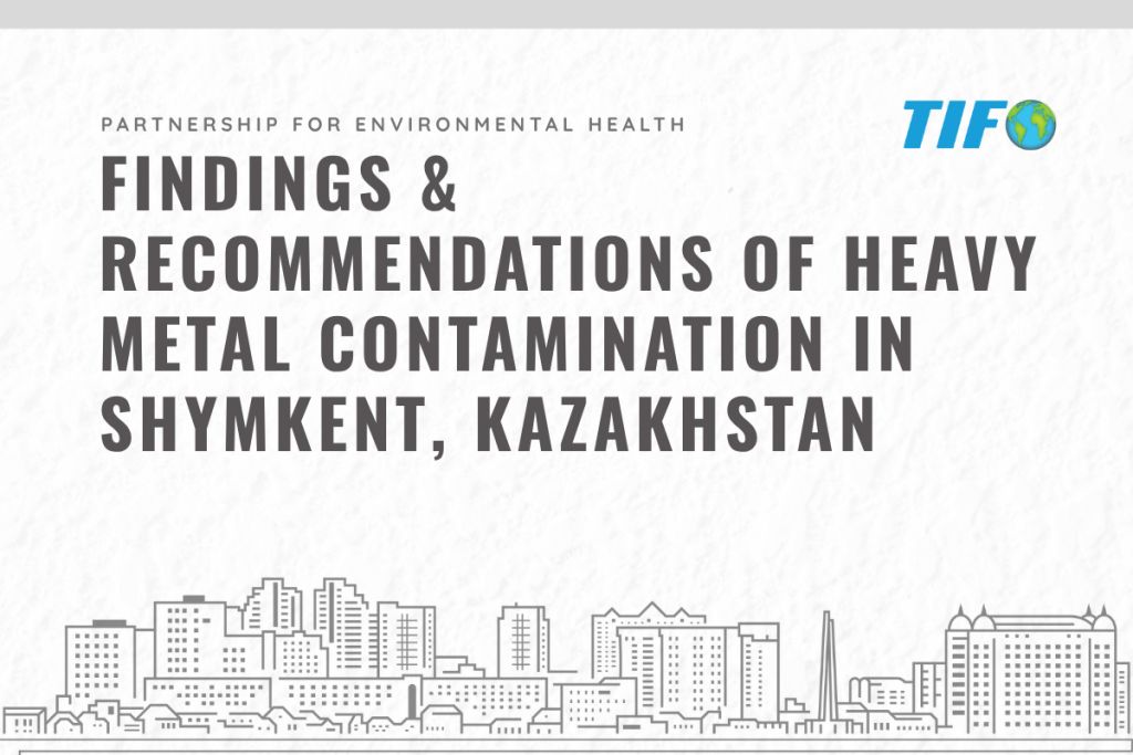PEH-Shymkent-Report-2025